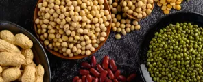 Looking for Pulses in the UAE? Top Companies and Information for Best Buyers